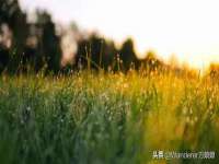 广州市富岛线缆科技有限公司
