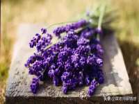 广州市富岛线缆科技有限公司