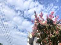 广州市富岛线缆科技有限公司
