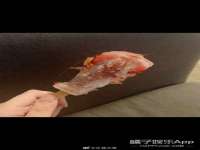 广州市富岛线缆科技有限公司